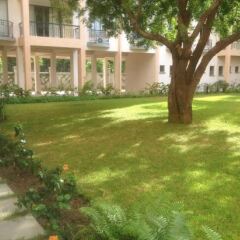 Bamburi Beach Homes in Mtwapa, Kenya from 139$, photos, reviews - zenhotels.com photo 7
