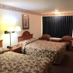 Отель Days Inn by Wyndham Lake City I-75 США, Лейк-Сити - отзывы, цены и фото номеров - забронировать отель Days Inn by Wyndham Lake City I-75 онлайн комната для гостей фото 3