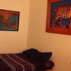The Roof Backpackers Hostel комната для гостей фото 2