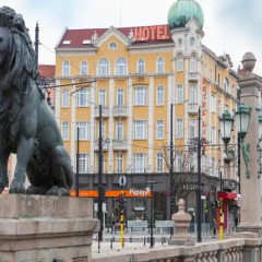Отель Lion Sofia Болгария, София - 5 отзывов об отеле, цены и фото номеров - забронировать отель Lion Sofia онлайн фото 5