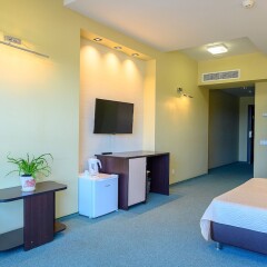 Hotel Terminal Adler Сочи удобства в номере фото 2