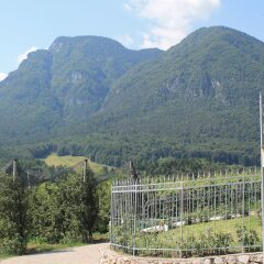 Отель Agriturismo Maso Alle Rose Горнолыжный курорт Скирама Доломити Адамелло Брента фото 3