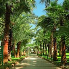 Отель Mirage Park Resort Кемер фото 8