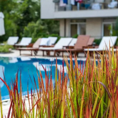 Апартаменты Dawn Park Deluxe Apartments бассейн фото 3
