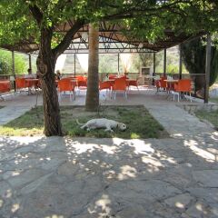 Xanthos Boutique Hotel Patara Турция, Патара - отзывы, цены и фото номеров - забронировать отель Xanthos Boutique Hotel Patara онлайн фото 2