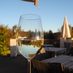 Отель Restaurant Oberwirt Италия, Лана - отзывы, цены и фото номеров - забронировать отель Restaurant Oberwirt онлайн приотельная территория фото 2