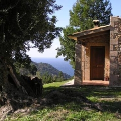Отель Agroturismo S'Olivar Испания, Эстелленс - отзывы, цены и фото номеров - забронировать отель Agroturismo S'Olivar онлайн фото 6