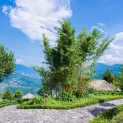 Отель Topas Ecolodge Шапа приотельная территория фото 2