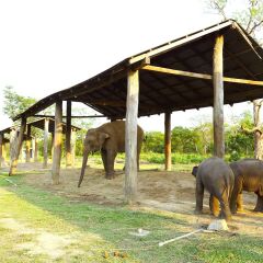 Отель Safari Adventure Lodge Непал, Саураха - отзывы, цены и фото номеров - забронировать отель Safari Adventure Lodge онлайн детские мероприятия