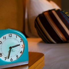 Отель Aloft Guadalajara с домашними животными
