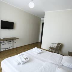 Hotel Homey Kobuleti удобства в номере фото 2