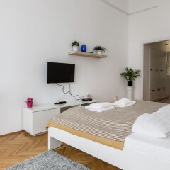 Апартаменты Erzsebet 53 Apartment Будапешт комната для гостей фото 2