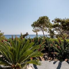Отель Santorini Mystique Garden Греция, Остров Санторини - отзывы, цены и фото номеров - забронировать отель Santorini Mystique Garden онлайн пляж