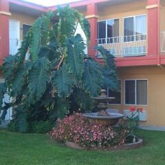 Отель Rodeway Inn Culver City фото 2
