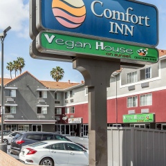 Отель Comfort Inn Los Angeles Лос-Анджелес парковка