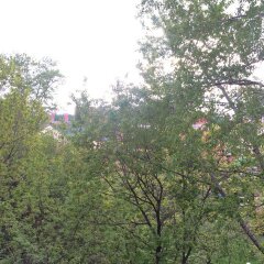 Апартаменты Беговая Сталинка Москва фото 4