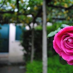 Отель Il Roseto B&B Равелло фото 8