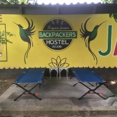 Отель Backpackers Hostel Ямайка, Кингстон - отзывы, цены и фото номеров - забронировать отель Backpackers Hostel онлайн пляж фото 2