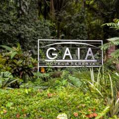 Отель Gaia Hotel And Reserve - Adults Only Коста-Рика, Кепос - отзывы, цены и фото номеров - забронировать отель Gaia Hotel And Reserve - Adults Only онлайн фото 10