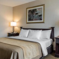 Comfort Inn Lancaster County North in Denver, United States of America from 125$, photos, reviews - zenhotels.com guestroom