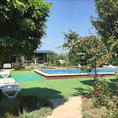Гостиница Gregori Club в Краснодаре отзывы, цены и фото номеров - забронировать гостиницу Gregori Club онлайн Краснодар бассейн