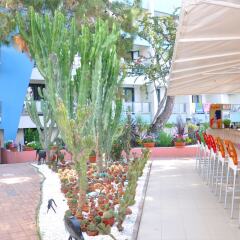 Club Hotel Rama - All Inclusive фото 7
