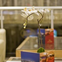 Отель Taksim Star Express Стамбул гостиничный бар