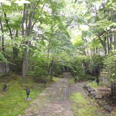 Отель Kinugawa Park Hotels Park Cottage Никко приотельная территория