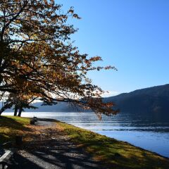 Отель The Prince Hakone Lake Ashinoko Идзунагаока фото 16