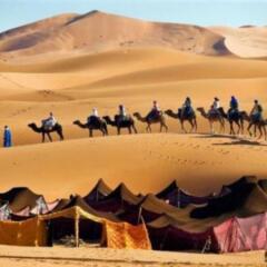 Отель Barak Desert Camp Марокко, Мерзуга - отзывы, цены и фото номеров - забронировать отель Barak Desert Camp онлайн пляж фото 2