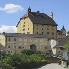 Отель Haus Haslach Австрия, Эльсбетен - отзывы, цены и фото номеров - забронировать отель Haus Haslach онлайн фото 6