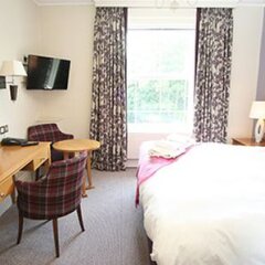 Отель Buckerell Lodge Hotel Великобритания, Эксетер - отзывы, цены и фото номеров - забронировать отель Buckerell Lodge Hotel онлайн удобства в номере фото 2