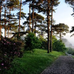 Отель Ana Mandara Villas Далат фото 2