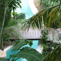 La Tortuga Hotel And Spa Плая-дель-Кармен фото 7