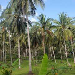 Отель Mangrove Resort спортивное сооружение