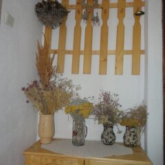 Отель Guest House Astra Велико Тырново развлечения