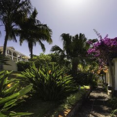 Отель Quinta Bela Sao Tiago Португалия, Фуншал - отзывы, цены и фото номеров - забронировать отель Quinta Bela Sao Tiago онлайн фото 3