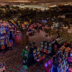 Отель Fiesta Henderson Hotel and Casino США, Хендерсон - отзывы, цены и фото номеров - забронировать отель Fiesta Henderson Hotel and Casino онлайн развлечения