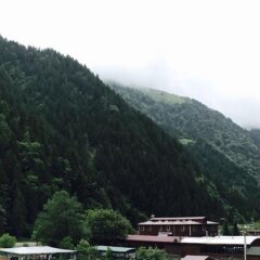 My Home Uzungol Турция, Узунгёль - отзывы, цены и фото номеров - забронировать отель My Home Uzungol онлайн фото 4