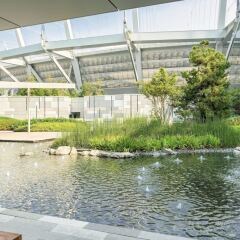 Отель JW Marriott Parq Vancouver Канада, Ванкувер - отзывы, цены и фото номеров - забронировать отель JW Marriott Parq Vancouver онлайн бассейн