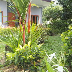 Отель Andawa Lanta House Ланта фото 14