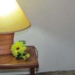 Hostel Shakti Коста-Рика, Сан-Хосе - отзывы, цены и фото номеров - забронировать отель Hostel Shakti онлайн фото 8