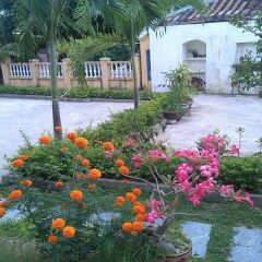 Отель Hoi An Green View Homestay Хойан фото 2