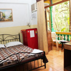 Отель Don Joao Индия, Северный Гоа - отзывы, цены и фото номеров - забронировать отель Don Joao онлайн комната для гостей фото 4