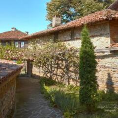 Отель Zlatna Oresha Guest House Болгария, Сливен - отзывы, цены и фото номеров - забронировать отель Zlatna Oresha Guest House онлайн фото 11