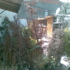 D's Taksim House Турция, Стамбул - отзывы, цены и фото номеров - забронировать отель D's Taksim House онлайн фото 6