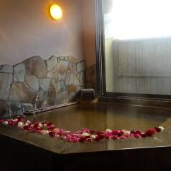 Отель Ryokan Yuri Хидзи ванная
