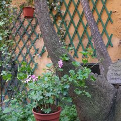 Отель Navona Gallery and Garden Suites фото 8