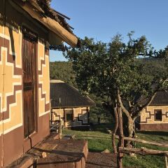 Отель Addo Bush Palace Private Reserve фото 6