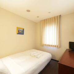 Отель Sotetsu Fresa Inn Nihombashi-Kayabacho комната для гостей фото 2